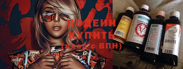 дурь Арсеньев