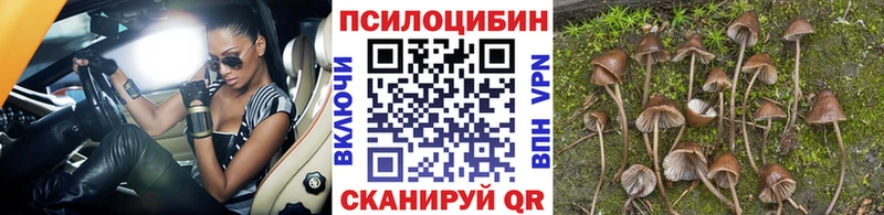 Псилоцибиновые грибы мухоморы  что такое наркотик  Свободный 